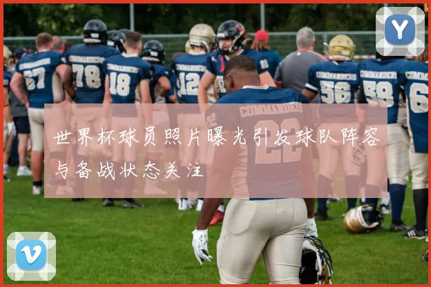世界杯球员照片曝光引发球队阵容与备战状态关注