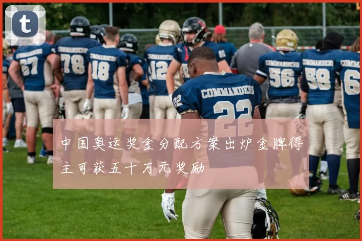 中国奥运奖金分配方案出炉金牌得主可获五十万元奖励