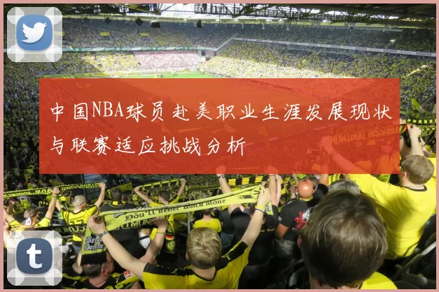 中国NBA球员赴美职业生涯发展现状与联赛适应挑战分析